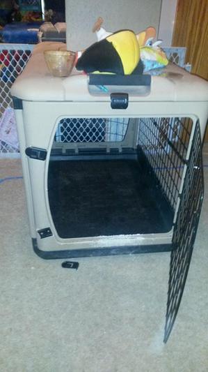 Pet Gear The Other Door Steel Crate with Plush Pad Sage