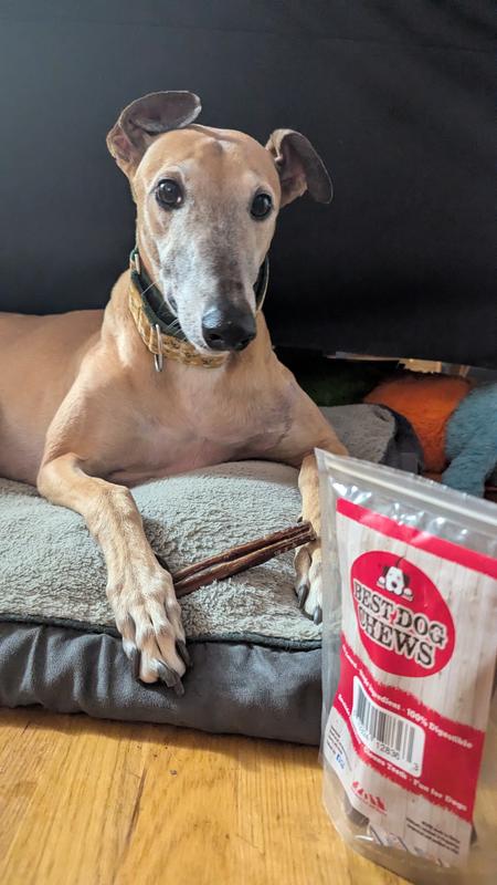 Dog posing with treat bag with one chew in his paws