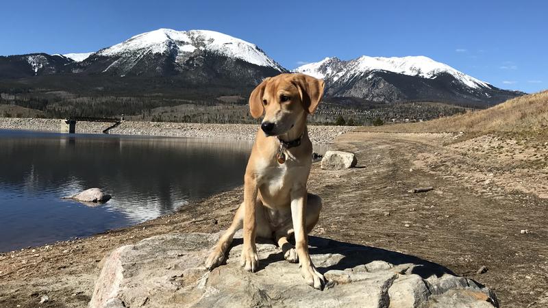 My pup is a “poser”🤣