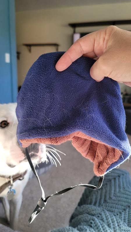 Product shot! Don't mind the dog hair.