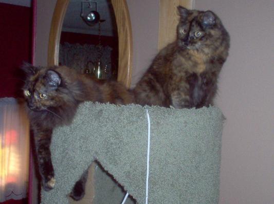 Fiona & Keira