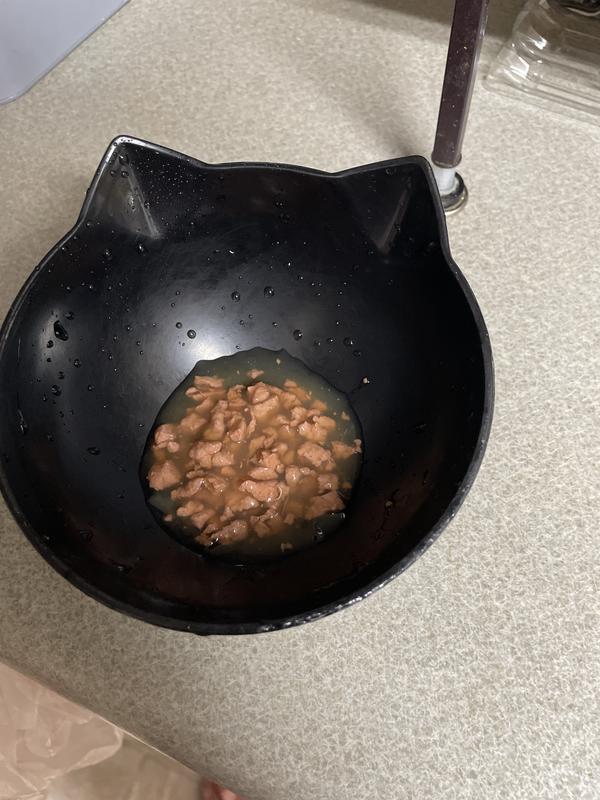 This picture is how it looks before my cat is served