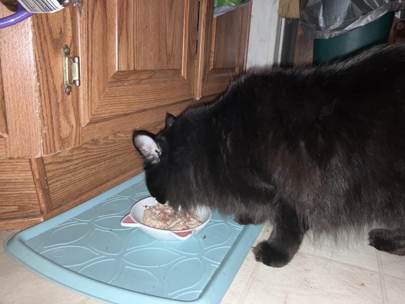 Carl loving the Nulo