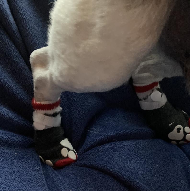 FRISCO NonSkid Dog Socks, Boho Geometric, Size 3