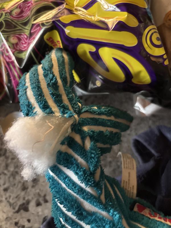 Tail torn almost off