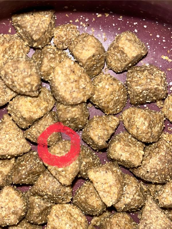 BUGS IN FOOD