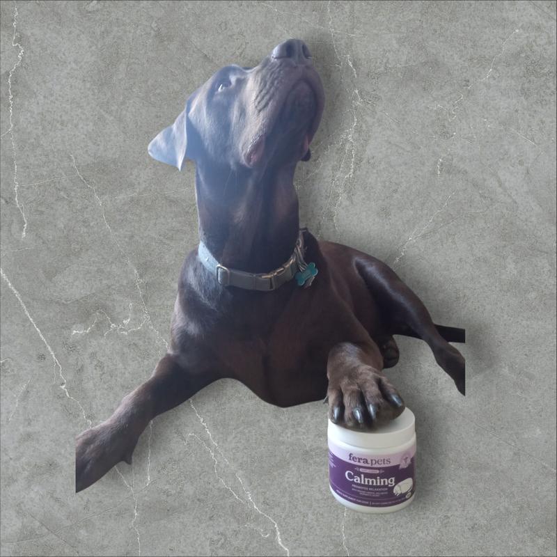 All in favor of calming chews....