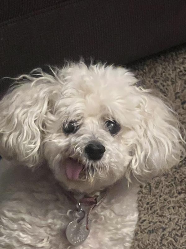 Winnie really likes them