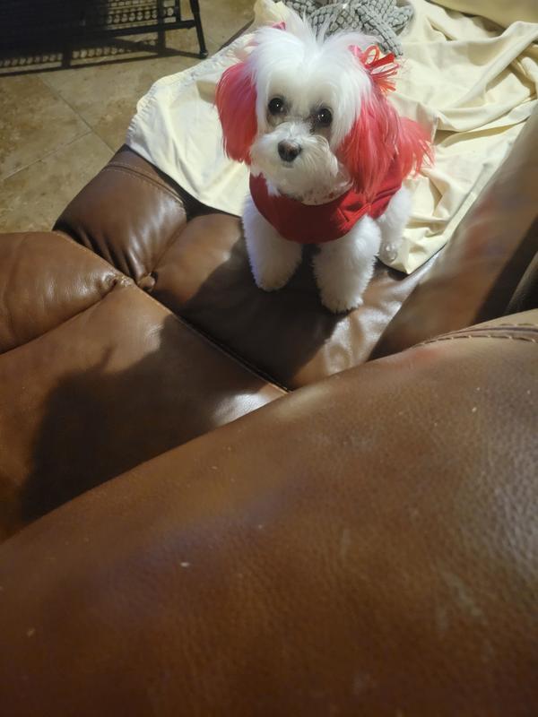 Ready for V-Day