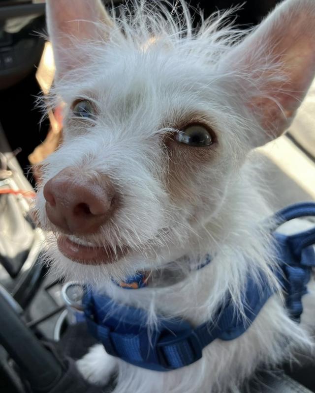 Finnegan this is the man I shop at Chewy for