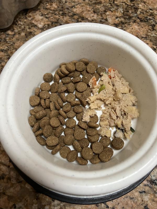 1/4 was introduced to his food.
