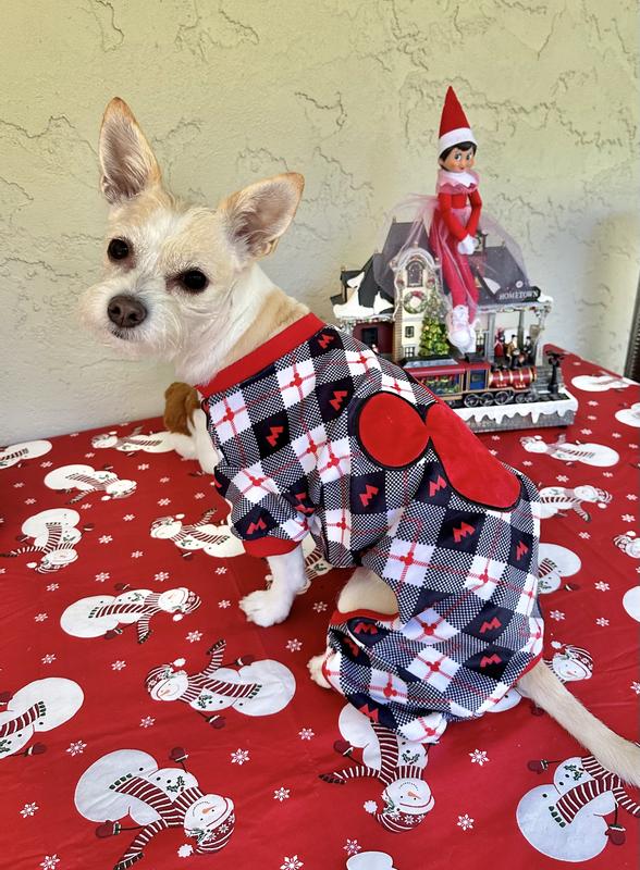Thank you Santa/Chewy