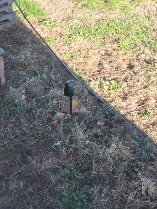 LvLrister PIR Motion Detector Animal Repeller Devices with Solar Energy & 2 Working Modes Dog Bark Control, Green