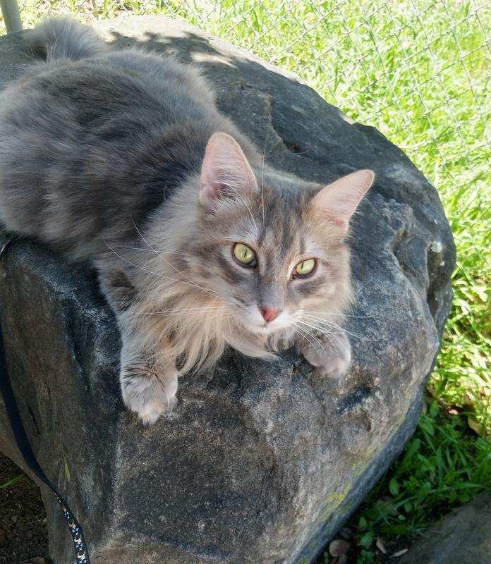 Logan on the Rocks!