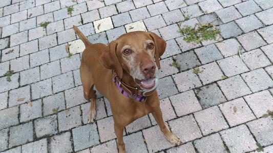 8 1/2 years young!
