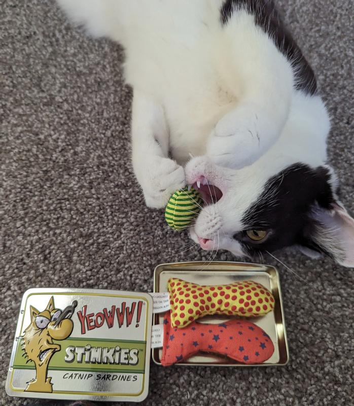 Stinkies on sale cat toys