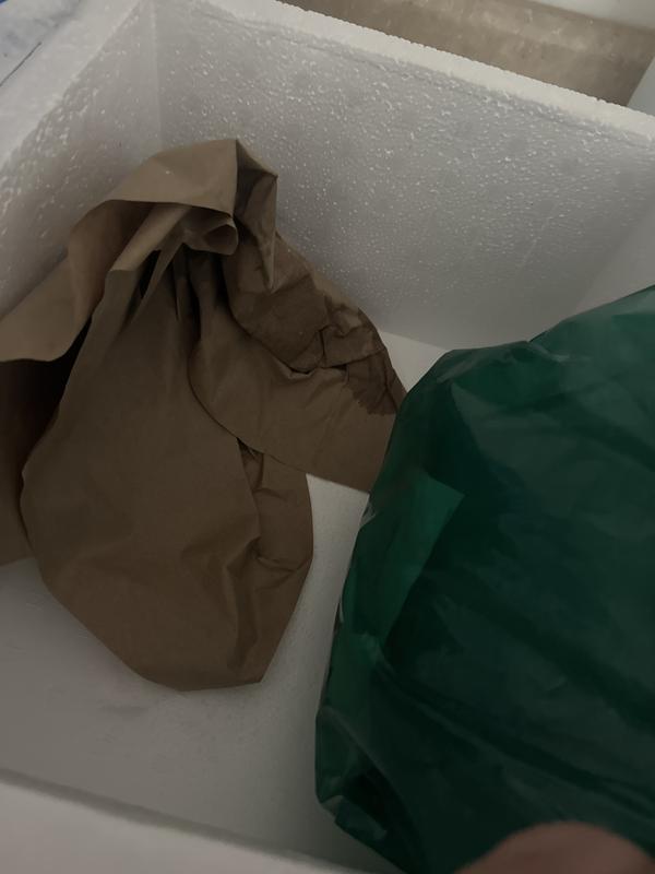 No liquid on the bottom