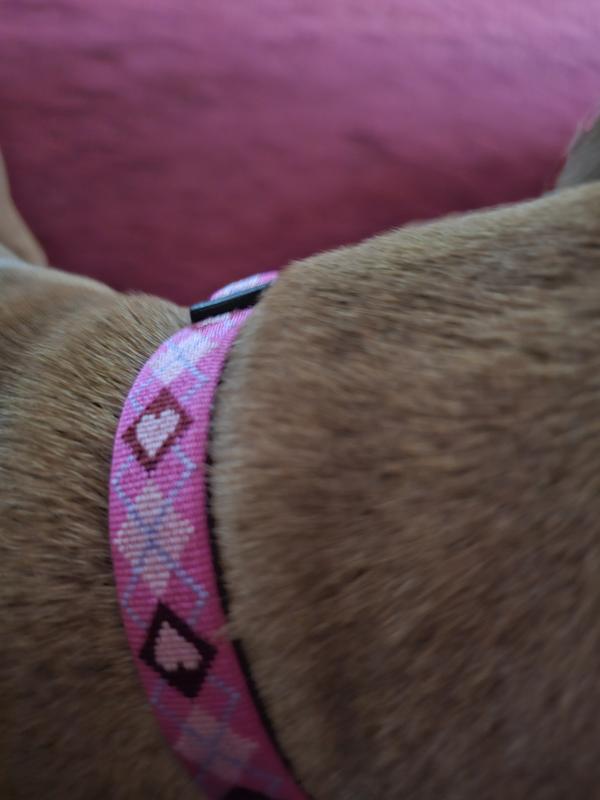 Pretty in Pink and Hearts