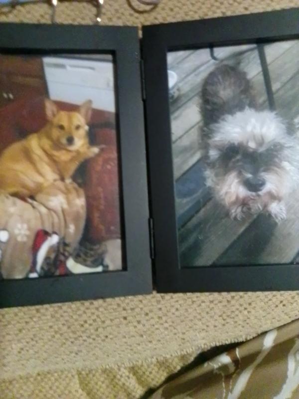 Sophia and Scruffy