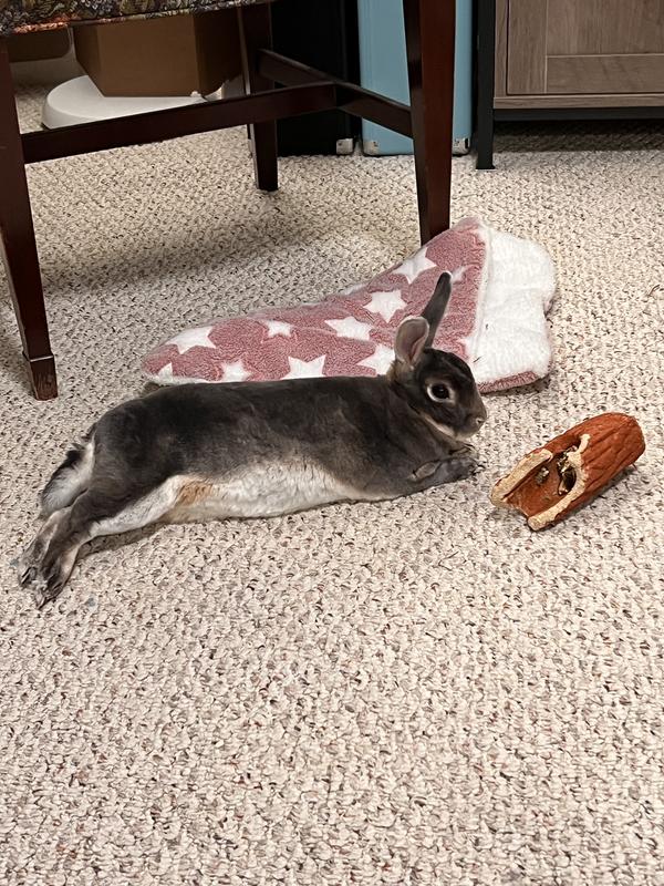 You can see she has been working hard on her seed log!