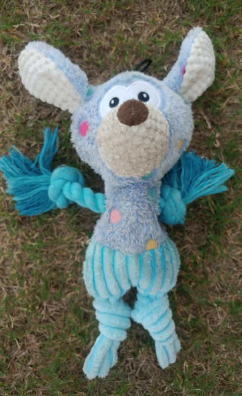 Adorable and Practical