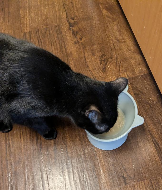 My senior cat loved this food.