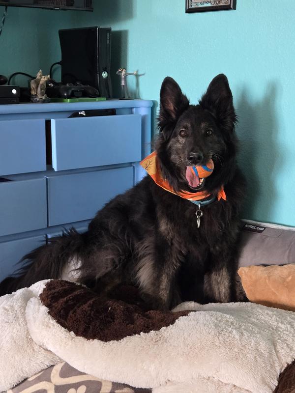 How i feel after enjoying dinner