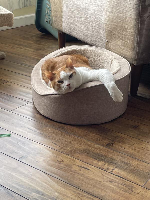 Jonesy’s chillin’ in his new bed!