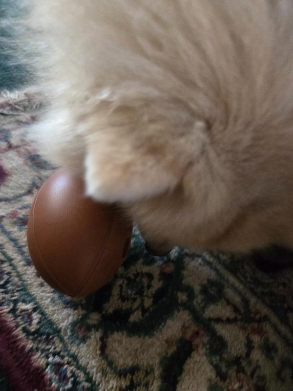Want to carry it in my mouth!