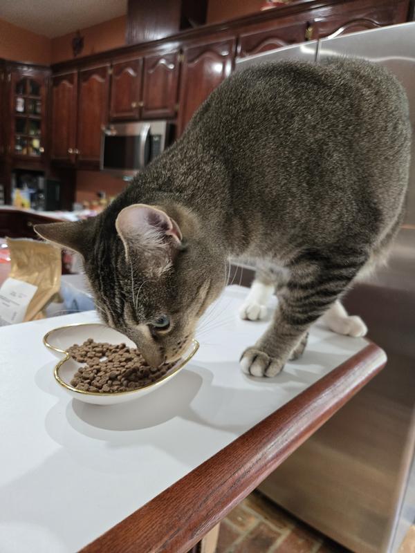 Gus isn't too sure about it