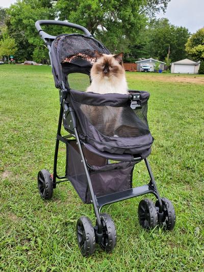 Rain Chain Pet Gear No-Zip Happy Trails Lite Pet Stroller