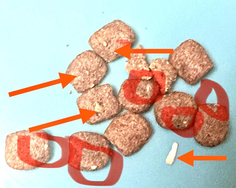 KILLER BONE IN KILLER KIBBLE