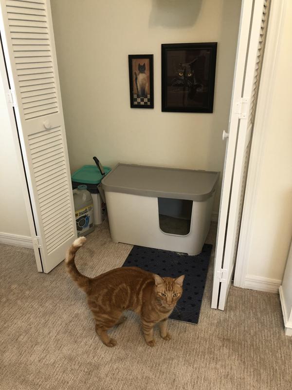 FRISCO MultiFunction Covered Cat Litter Box, 29in, Without Tray