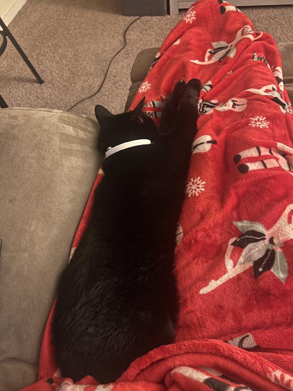 He did seem to get good sleep!