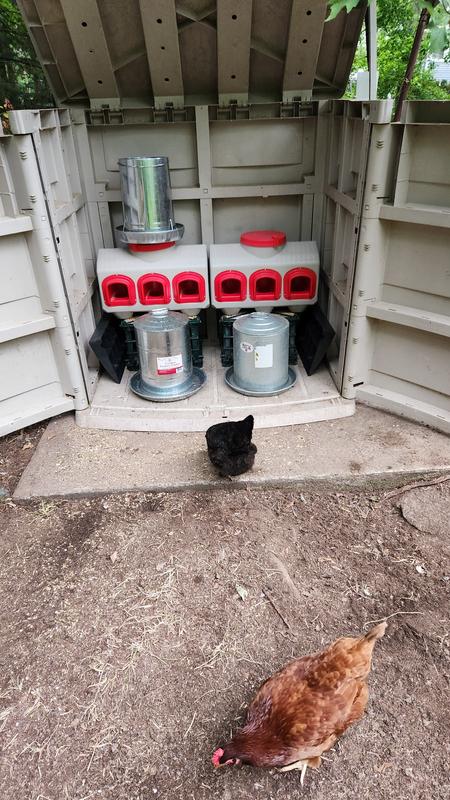 Ramps removed able to store water as well 2 5 gal no pests allowed