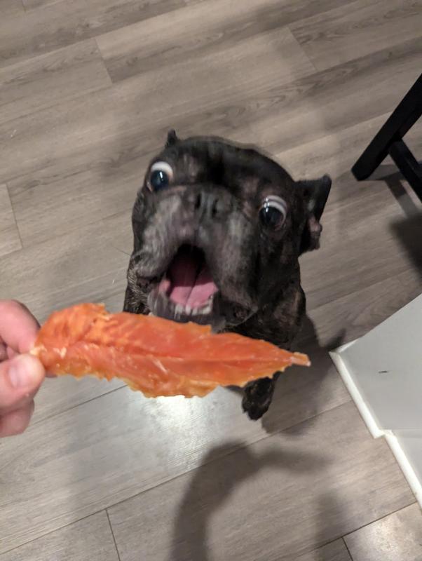 Piggy very excited to get a piece
