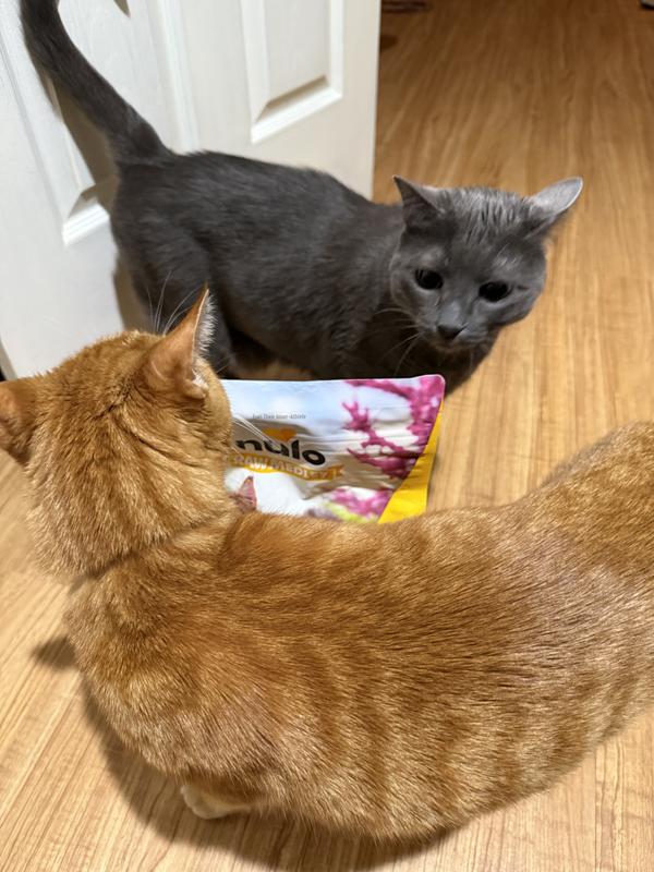 Circling like sharks!