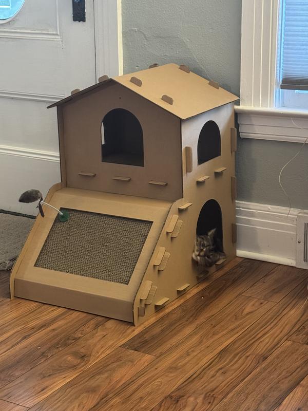 Cat loving cardboard condo.