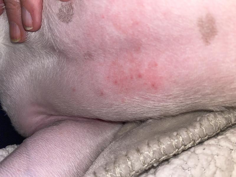 Rubbing caused irritation.