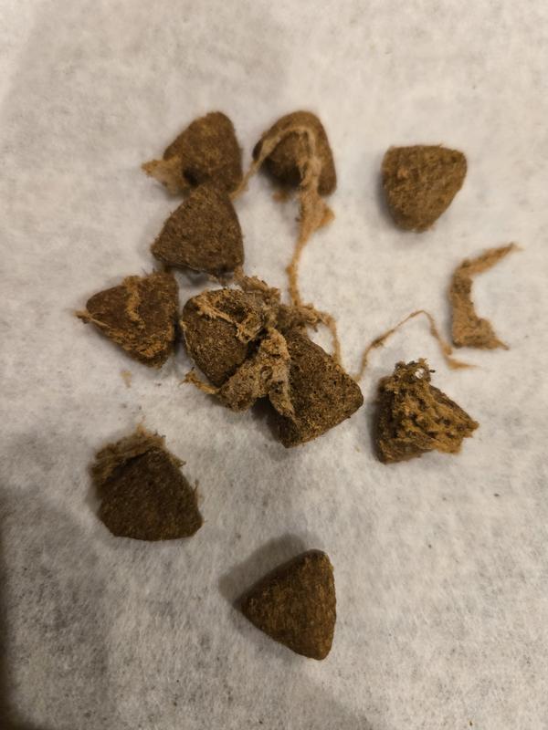 Found in new bag of chows.