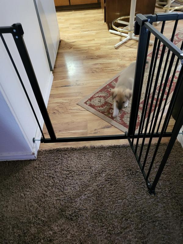 FRISCO Steel Extra Wide Auto-Close Dog Gate, White, 30-in - Chewy.com