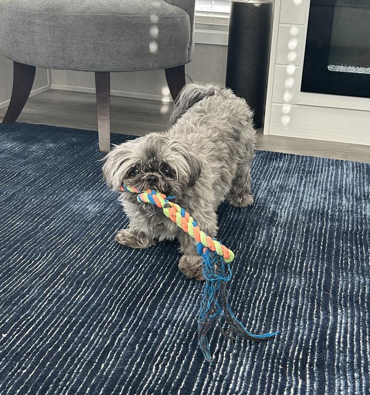 Happy to play with her toy