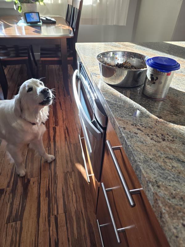 Anxious for her Rockster