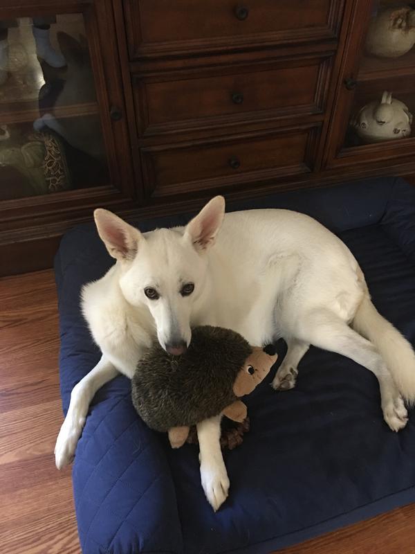 Molly Mae’s favorite baby doll.