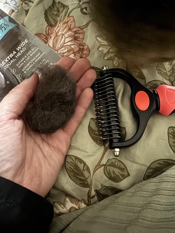 RAW PAWS Dual-Sided Undercoat Rake & Dematting Tool for Dogs & Cats ...