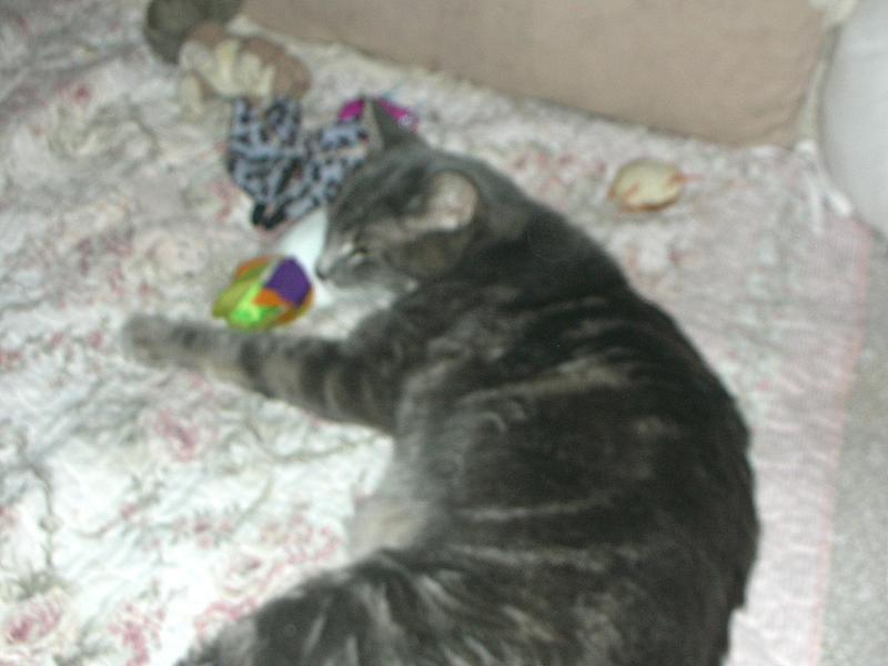 Amos with skull & other toys