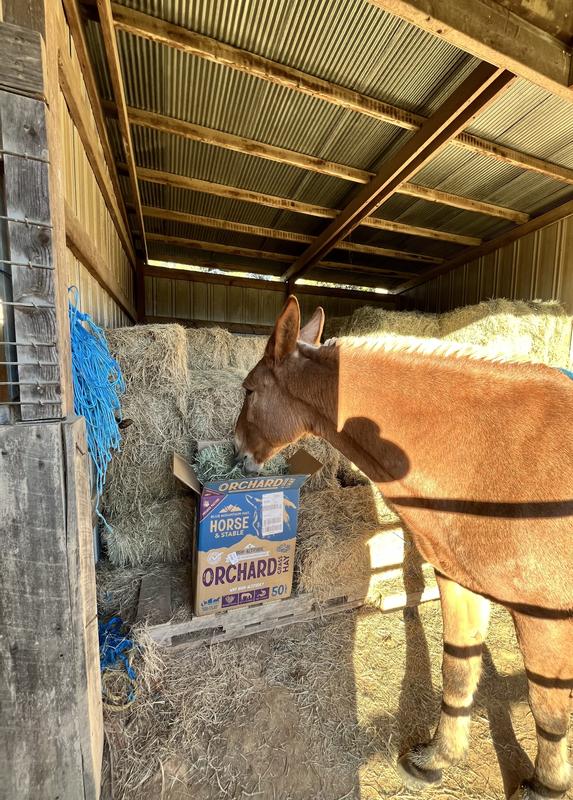 After the initial taste introduction, she said “I’ll take it from here“.