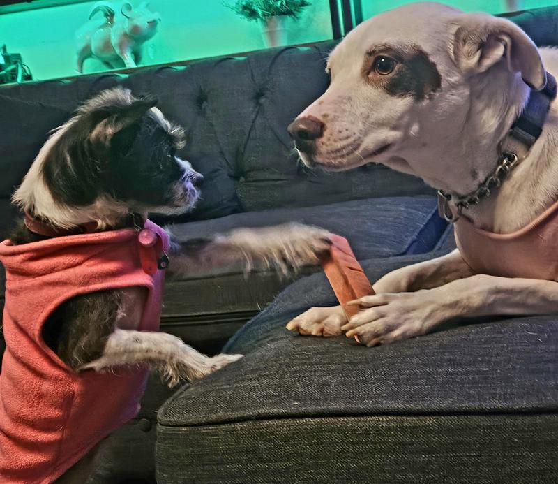 A theft in progress.