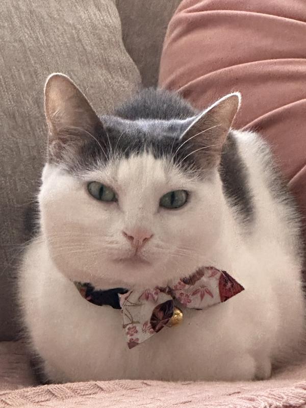 She wears it well!