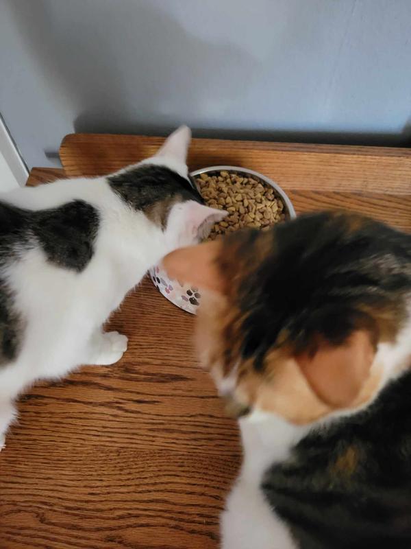 Beautiful bowl that doesn't slide and is easy to clean!